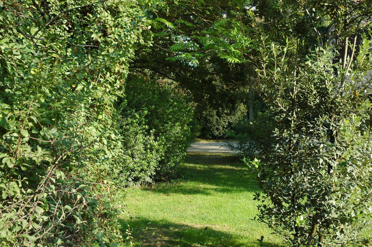 B&B Villa Dei Calchi - Suite Room Di Charme San Felice sul Panaro Экстерьер фото